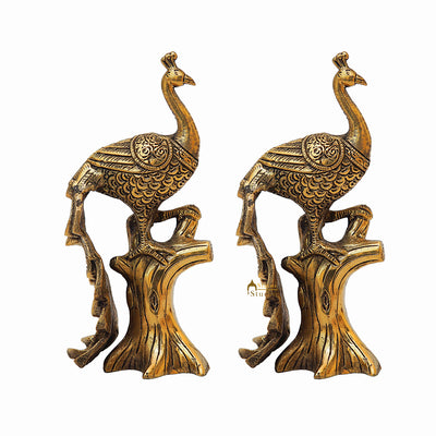 Brass Antique Peacock Pair On Tree Showpiece Decorative For table Decor 8.5"