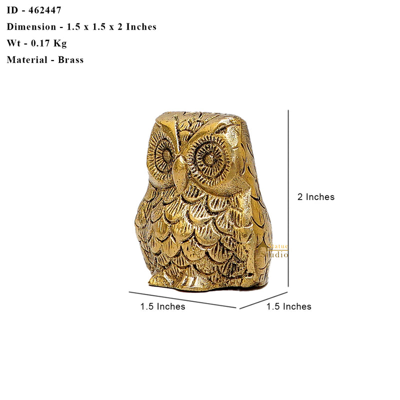 Brass Owl Statue Feng Shui Vastu Showpiece 2 Inch