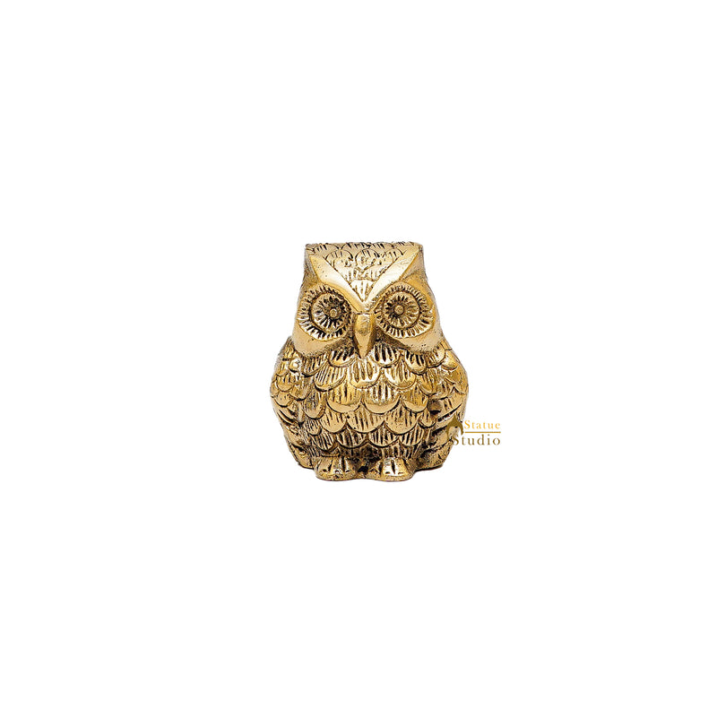 Brass Owl Statue Feng Shui Vastu Showpiece 2.5 Inch