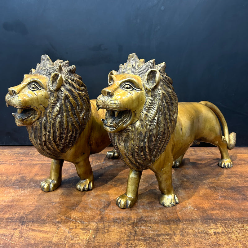 Brass Large Lion Pair Sculpture For Home Decor 24 Inch