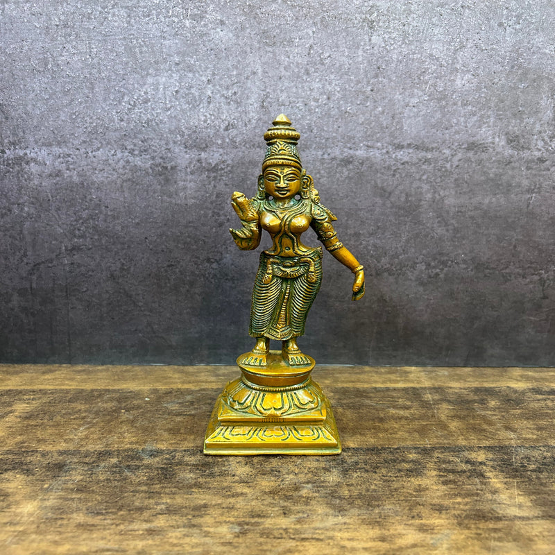 Brass Goddess of Wealth Maa Lakshmi Idol Copper Patina Finish 8" - 463047